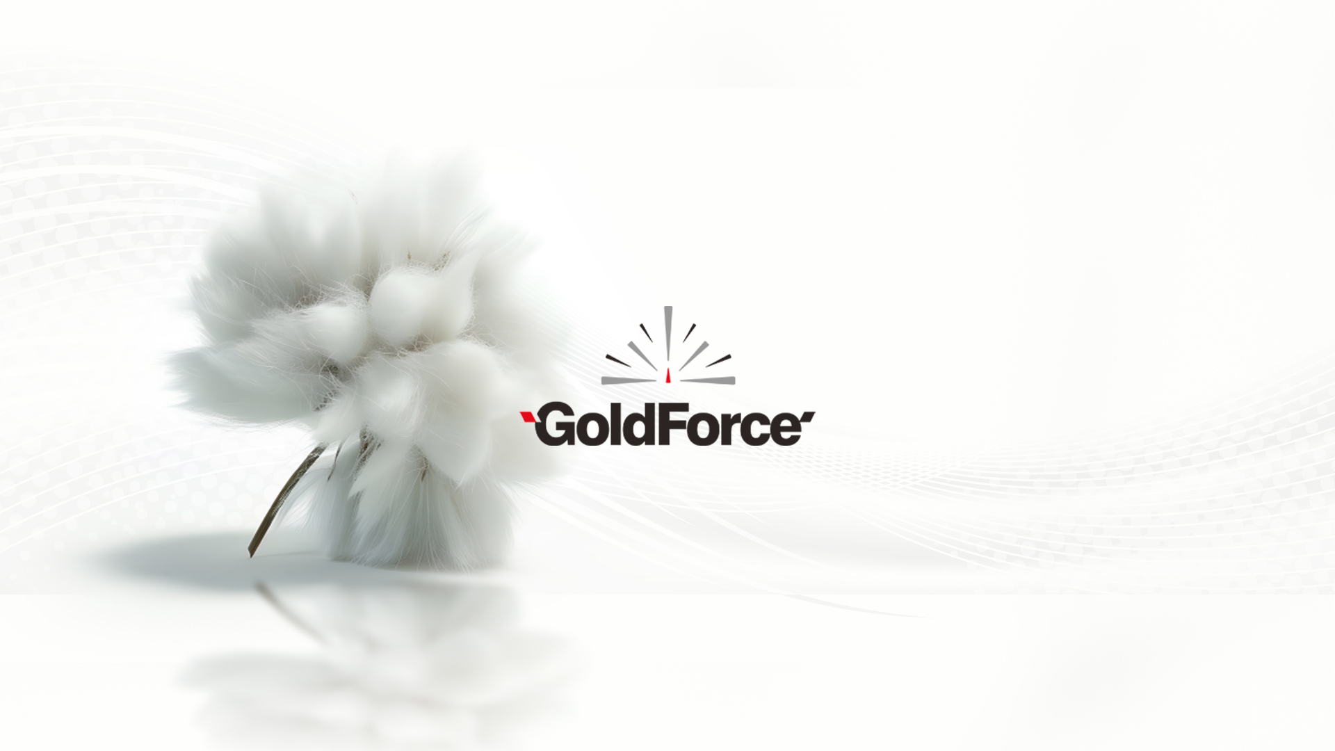 GoldForceImage